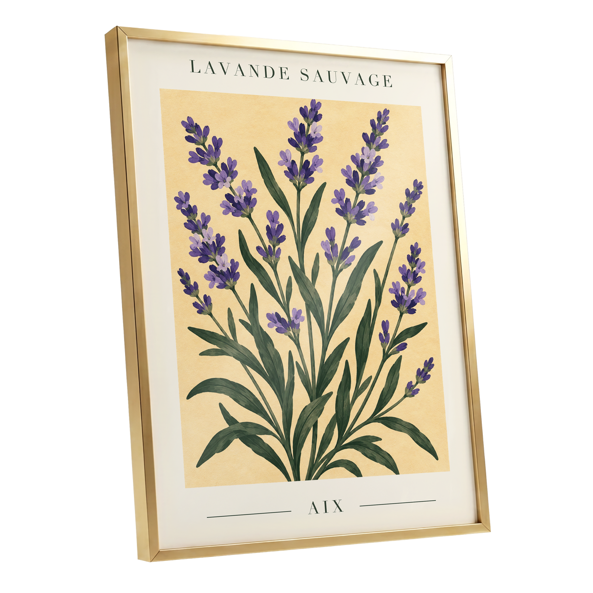 Lavender in Aix, purple, green, yellow floral wall art shown as a gold framed poster wall art print