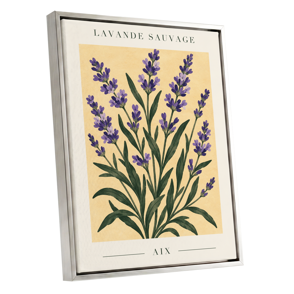 Lavender in Aix, purple, green, yellow floral wall art shown as a silver framed canvas wall art