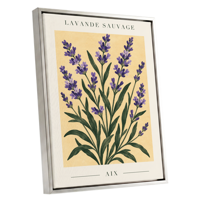 Lavender in Aix, purple, green, yellow floral wall art shown as a silver framed canvas wall art