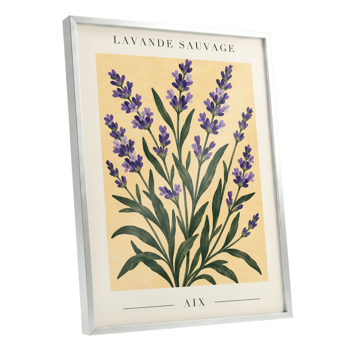 Lavender in Aix, purple, green, yellow floral wall art shown as a silver framed poster wall art print