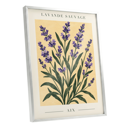 Lavender in Aix, purple, green, yellow floral wall art shown as a silver framed poster wall art print