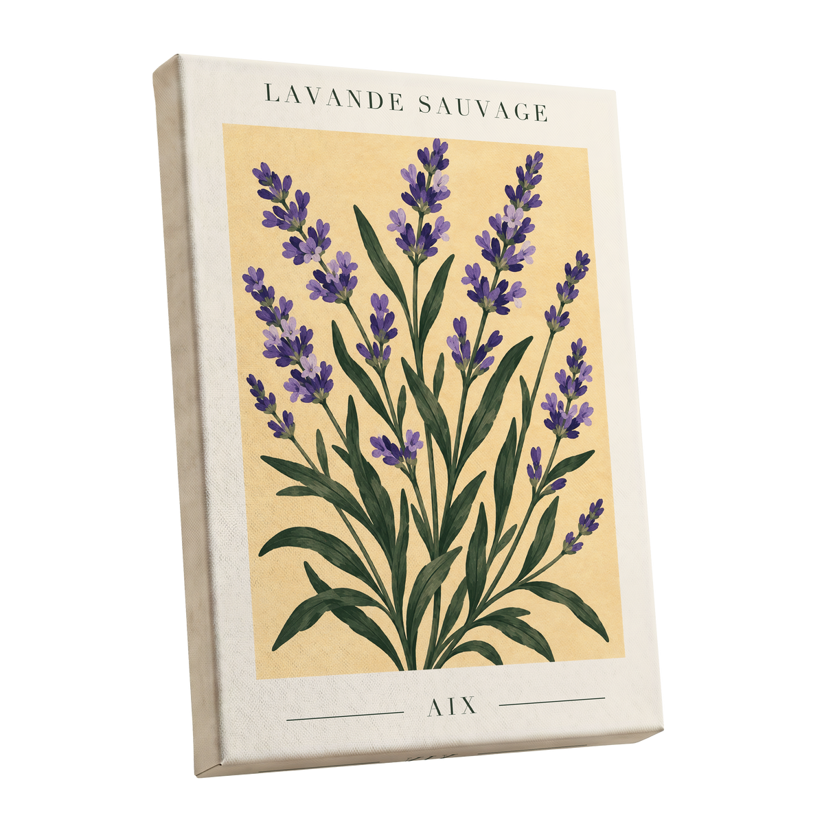 Lavender in Aix, purple, green, yellow floral wall art shown as a stretched canvas wall art