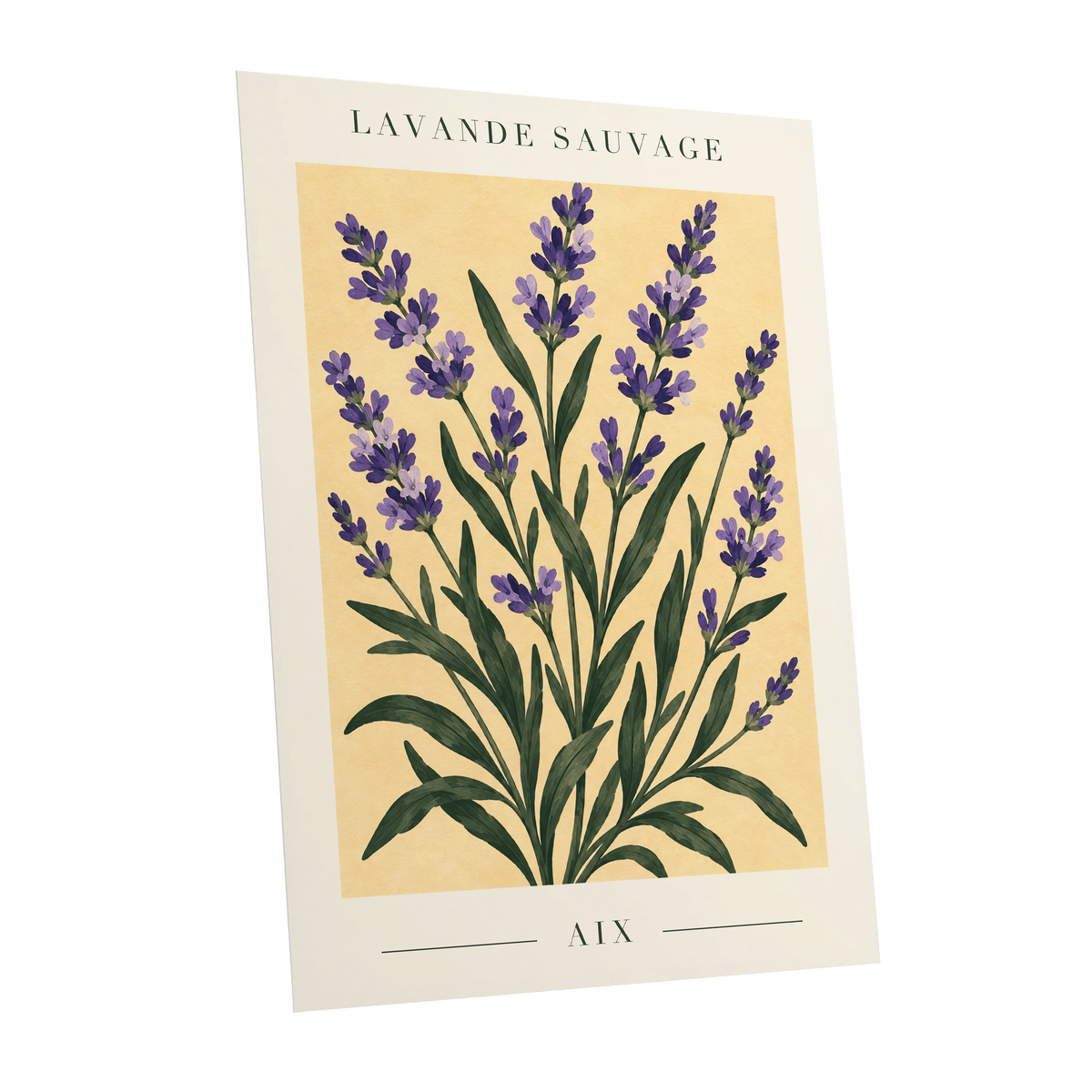 Lavender in Aix, purple, green, yellow floral wall art shown as a unframed poster wall art print
