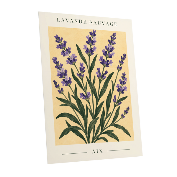Lavender in Aix, purple, green, yellow floral wall art shown as a unframed poster wall art print