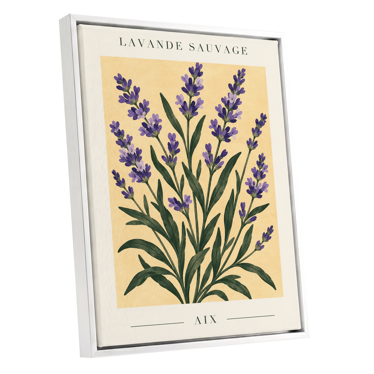 Lavender in Aix, purple, green, yellow floral wall art shown as a white framed canvas wall art