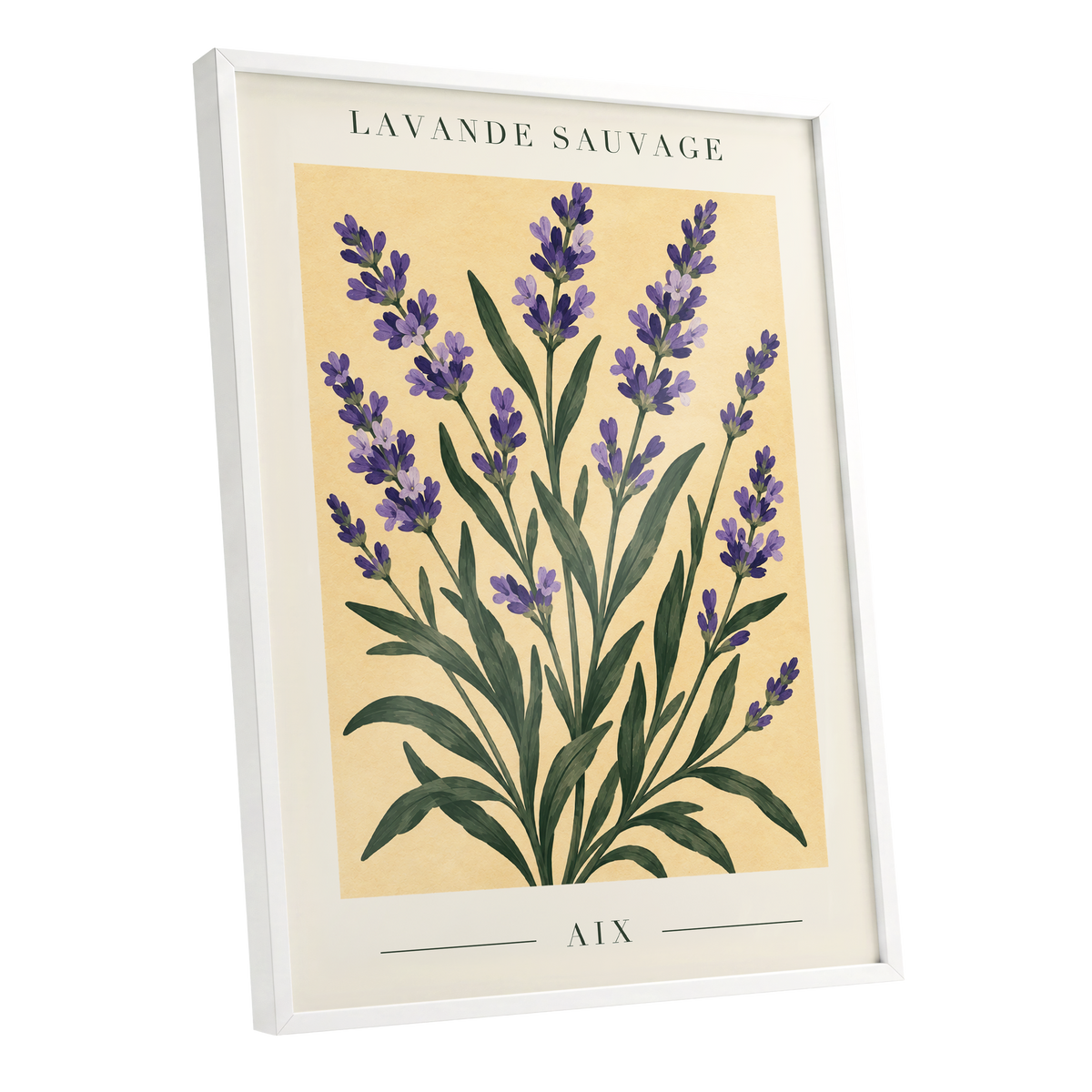 Lavender in Aix, purple, green, yellow floral wall art shown as a white framed poster wall art print