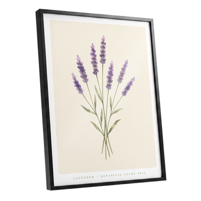 Lavender Stillness, purple, green, beige floral wall art shown as a black framed poster wall art print