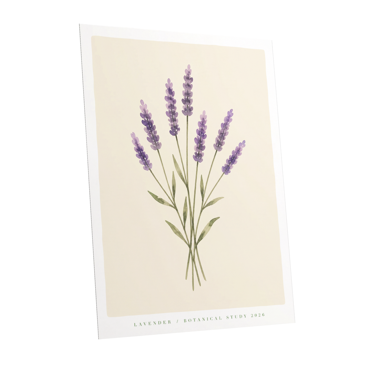 Lavender Stillness, purple, green, beige floral wall art shown as a unframed poster wall art print