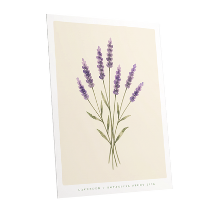 Lavender Stillness, purple, green, beige floral wall art shown as a unframed poster wall art print
