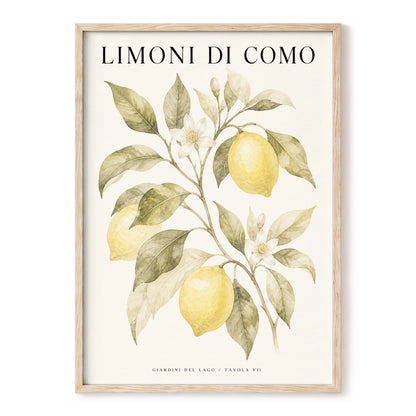Lemons of Lake Como, yellow, green, beige nature wall art, front artwork view