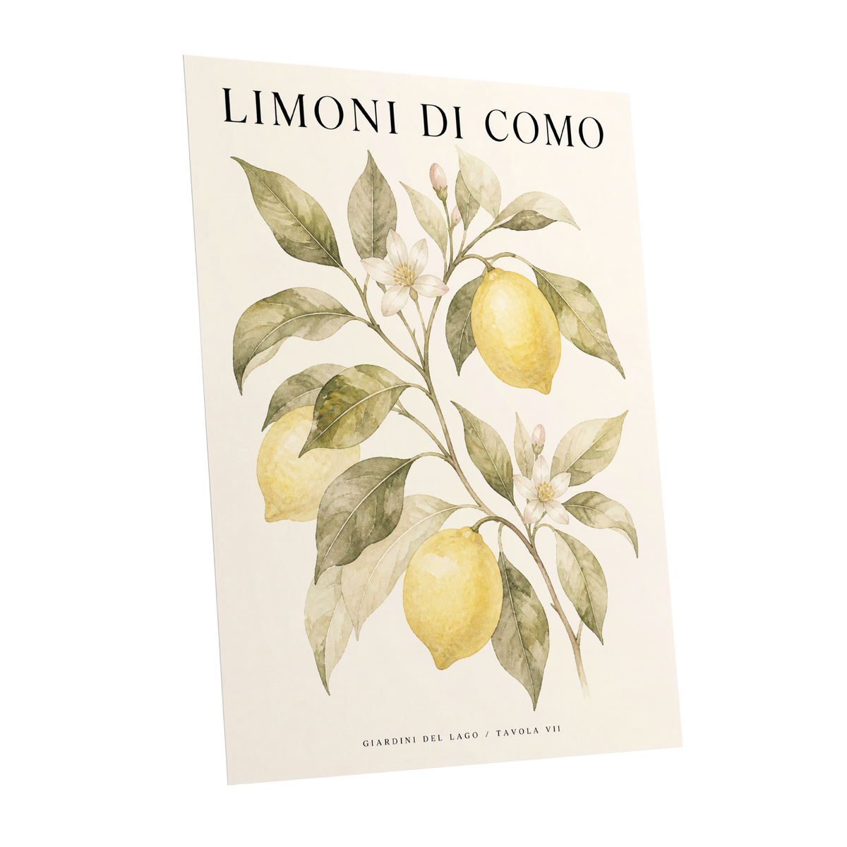 Lemons of Lake Como, yellow, green, beige nature wall art shown as a unframed poster wall art print