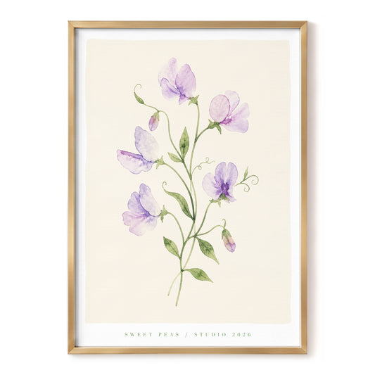 Lilac Sweet Pea Study, purple, green, beige floral wall art, front artwork view