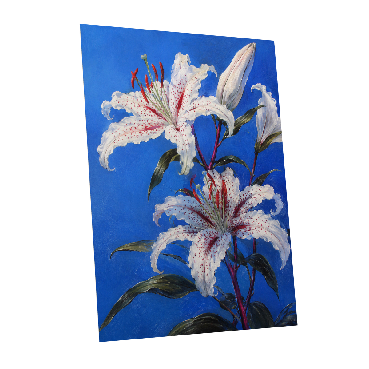 Lilies in Cobalt, blue, white, green floral wall art shown as a unframed poster wall art print