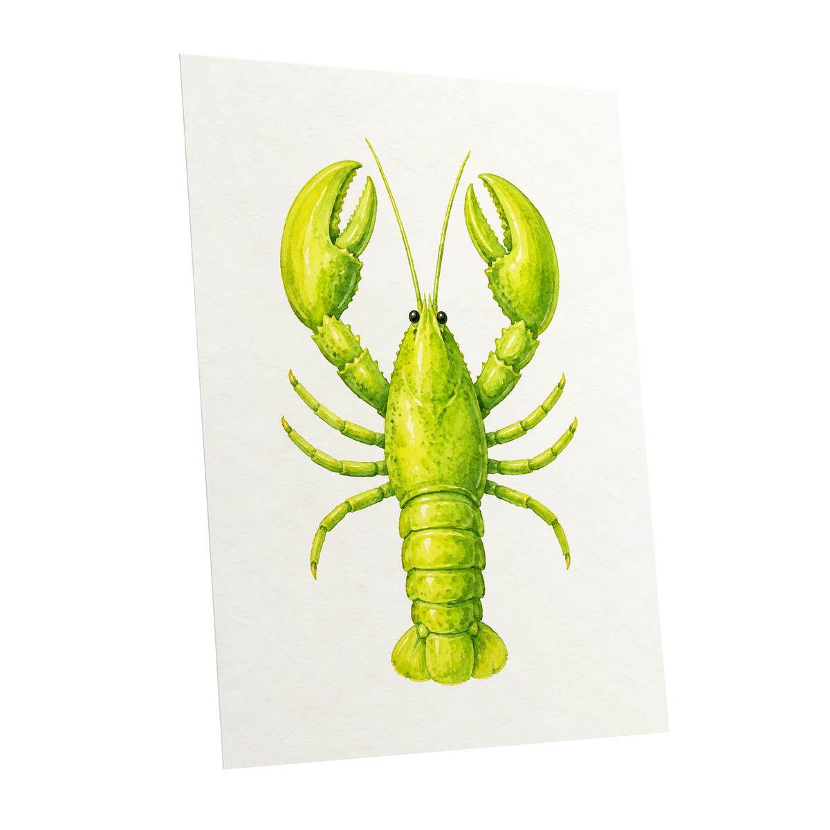 Lime Lobster, green, yellow, white nature wall art shown as a unframed poster wall art print
