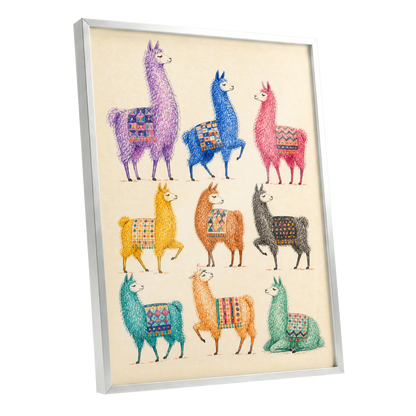 Llama Colour Parade, multicolor, beige, purple nature wall art shown as a silver framed poster wall art print