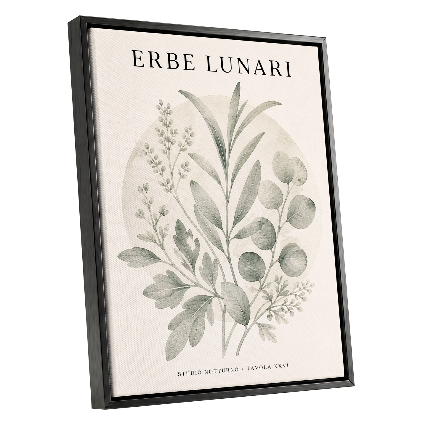 Lunar Herbarium, green, beige, black nature wall art shown as a black framed canvas wall art