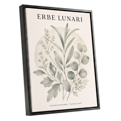 Lunar Herbarium, green, beige, black nature wall art shown as a black framed canvas wall art