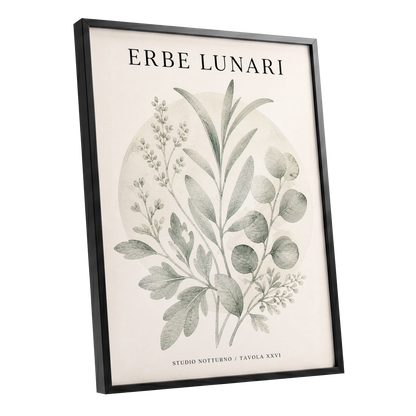 Lunar Herbarium, green, beige, black nature wall art shown as a black framed poster wall art print