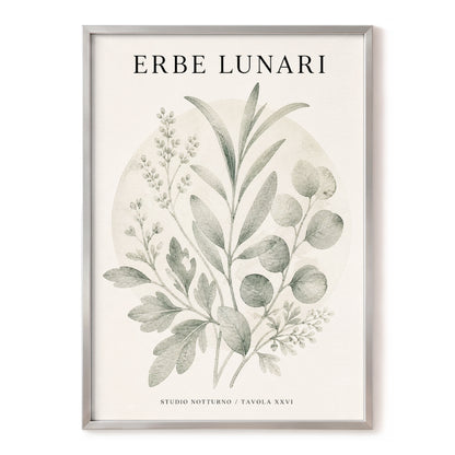Lunar Herbarium, green, beige, black nature wall art, front artwork view