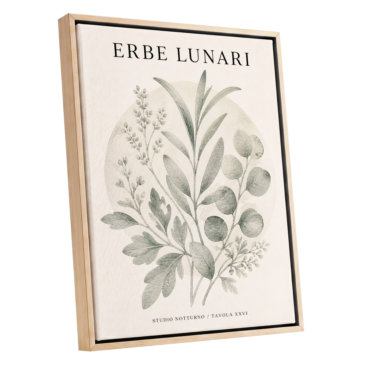 Lunar Herbarium, green, beige, black nature wall art shown as a oak framed canvas wall art