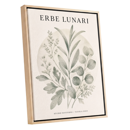 Lunar Herbarium, green, beige, black nature wall art shown as a oak framed canvas wall art