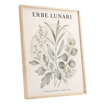 Lunar Herbarium, green, beige, black nature wall art shown as a oak framed poster wall art print