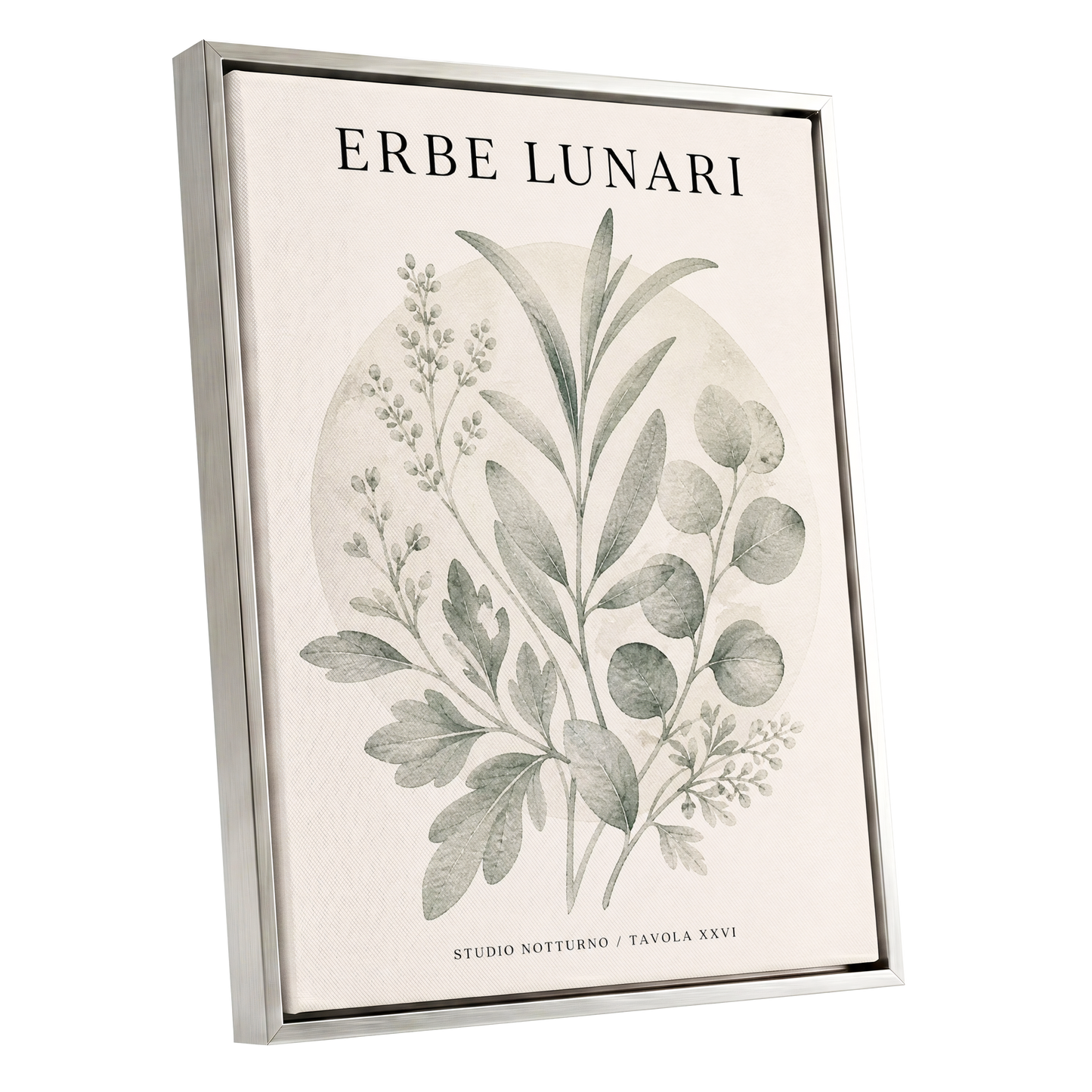 Lunar Herbarium, green, beige, black nature wall art shown as a silver framed canvas wall art