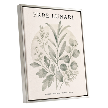 Lunar Herbarium, green, beige, black nature wall art shown as a silver framed canvas wall art