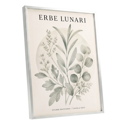 Lunar Herbarium, green, beige, black nature wall art shown as a silver framed poster wall art print