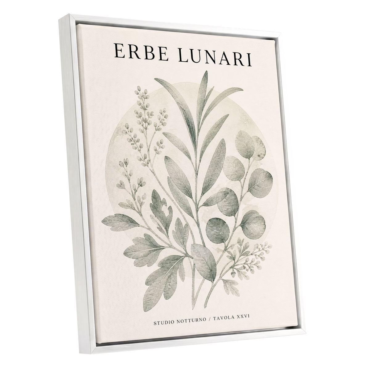 Lunar Herbarium, green, beige, black nature wall art shown as a white framed canvas wall art