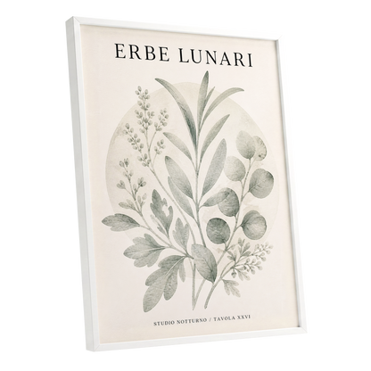 Lunar Herbarium, green, beige, black nature wall art shown as a white framed poster wall art print