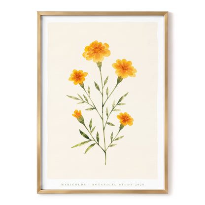 Marigold Reverie, orange, green, beige floral wall art, front artwork view