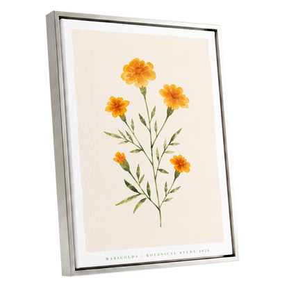 Marigold Reverie, orange, green, beige floral wall art shown as a silver framed canvas wall art