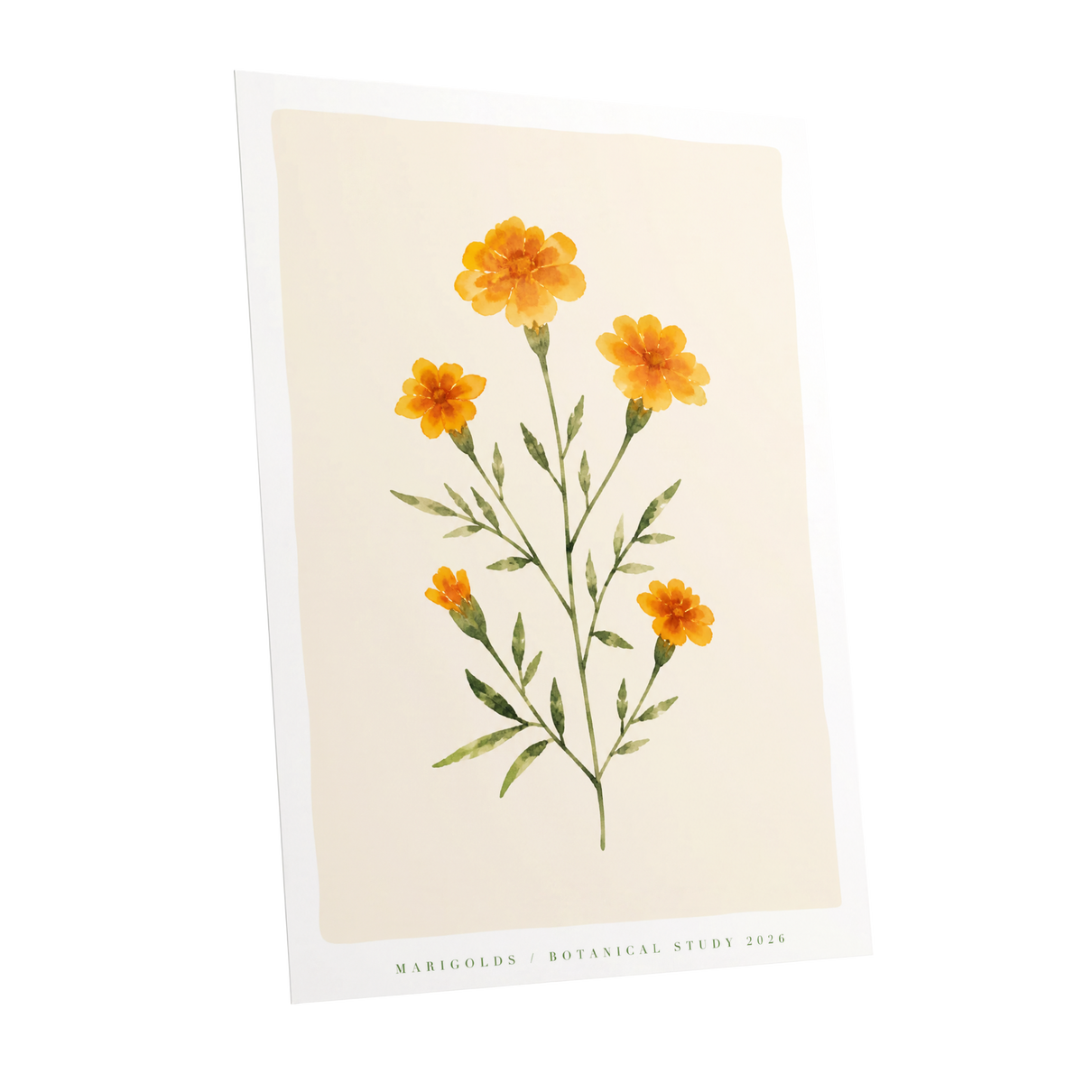 Marigold Reverie, orange, green, beige floral wall art shown as a unframed poster wall art print