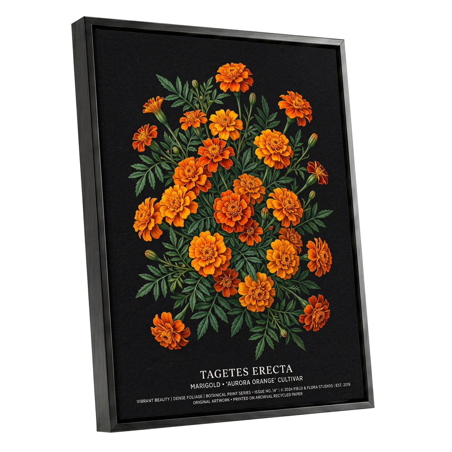 Marigolds After Dark, black, green, orange floral wall art shown as a black framed canvas wall art