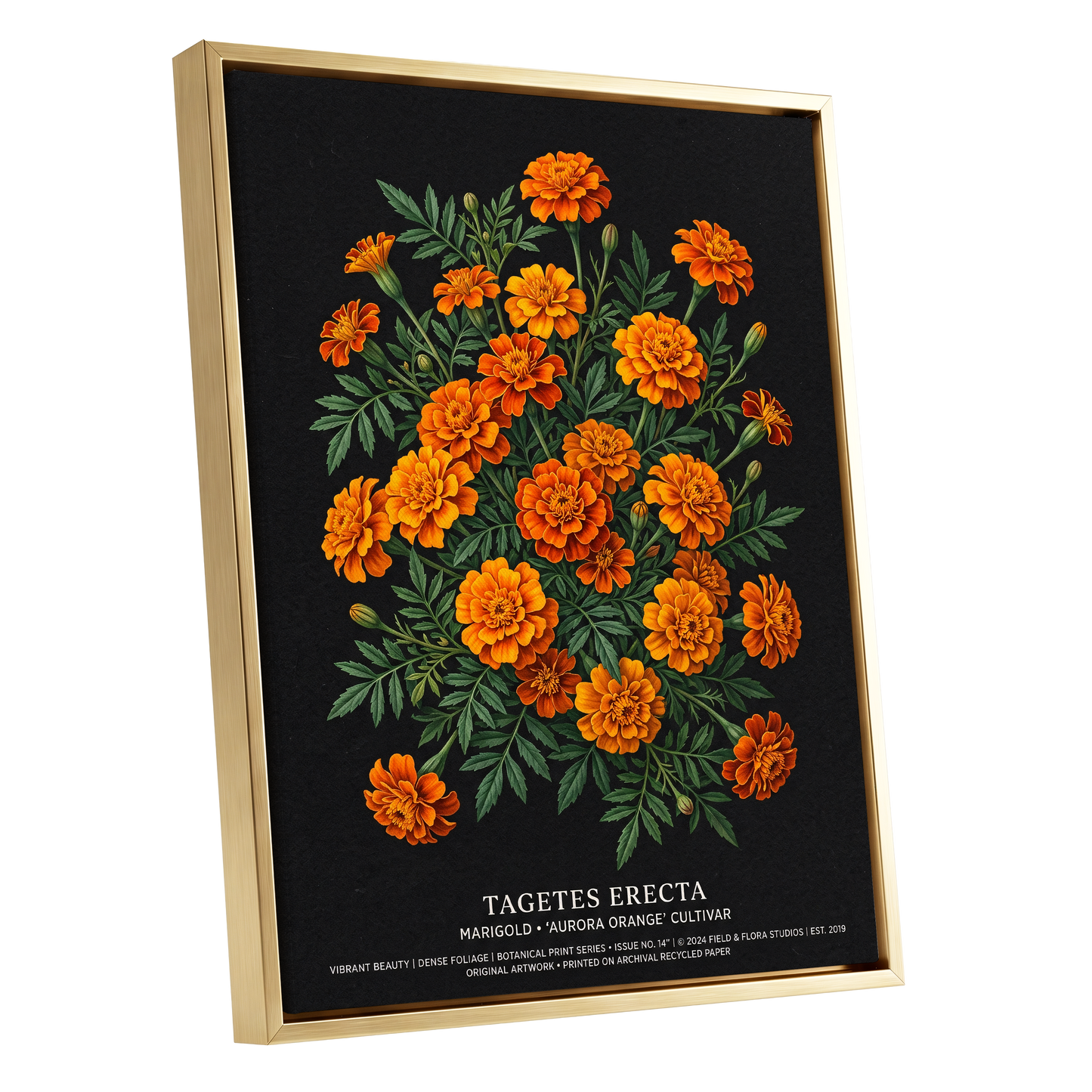 Marigolds After Dark, black, green, orange floral wall art shown as a gold framed canvas wall art