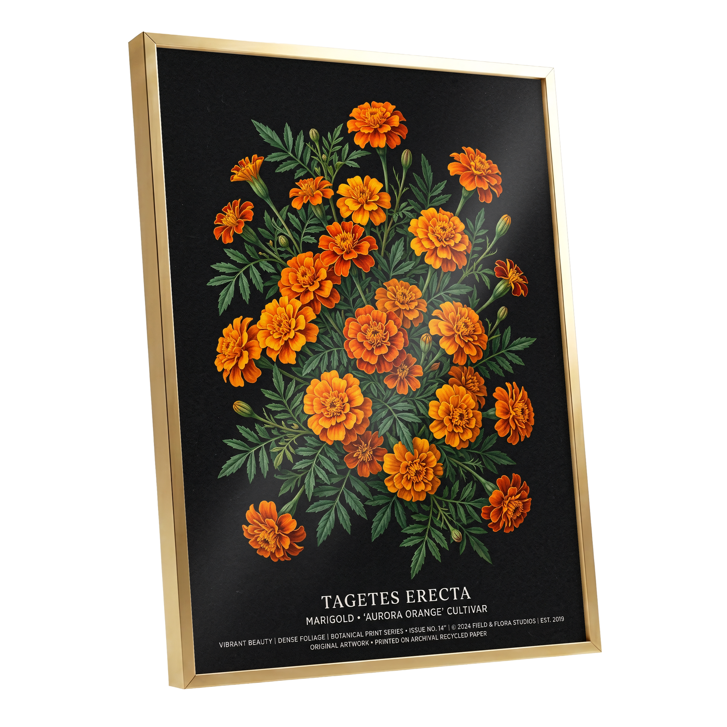 Marigolds After Dark, black, green, orange floral wall art shown as a gold framed poster wall art print