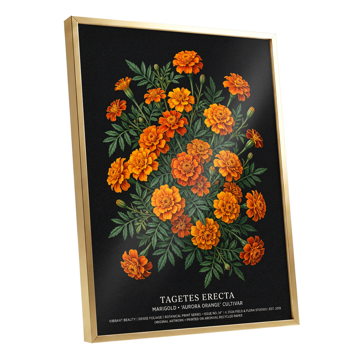 Marigolds After Dark, black, green, orange floral wall art shown as a gold framed poster wall art print