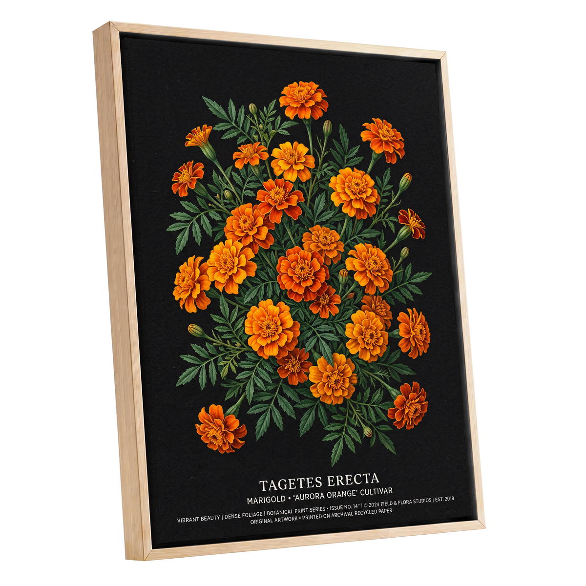 Marigolds After Dark, black, green, orange floral wall art shown as a oak framed canvas wall art