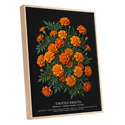 Marigolds After Dark, black, green, orange floral wall art shown as a oak framed canvas wall art