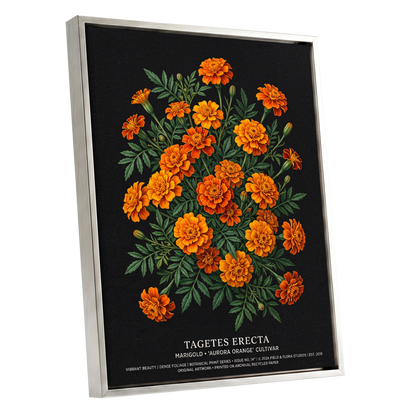 Marigolds After Dark, black, green, orange floral wall art shown as a silver framed canvas wall art