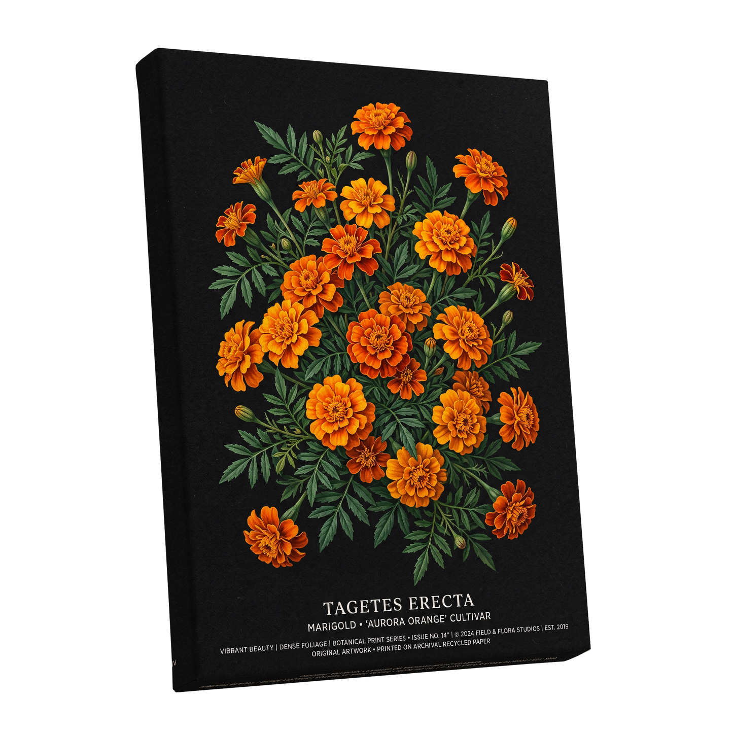 Marigolds After Dark, black, green, orange floral wall art shown as a stretched canvas wall art