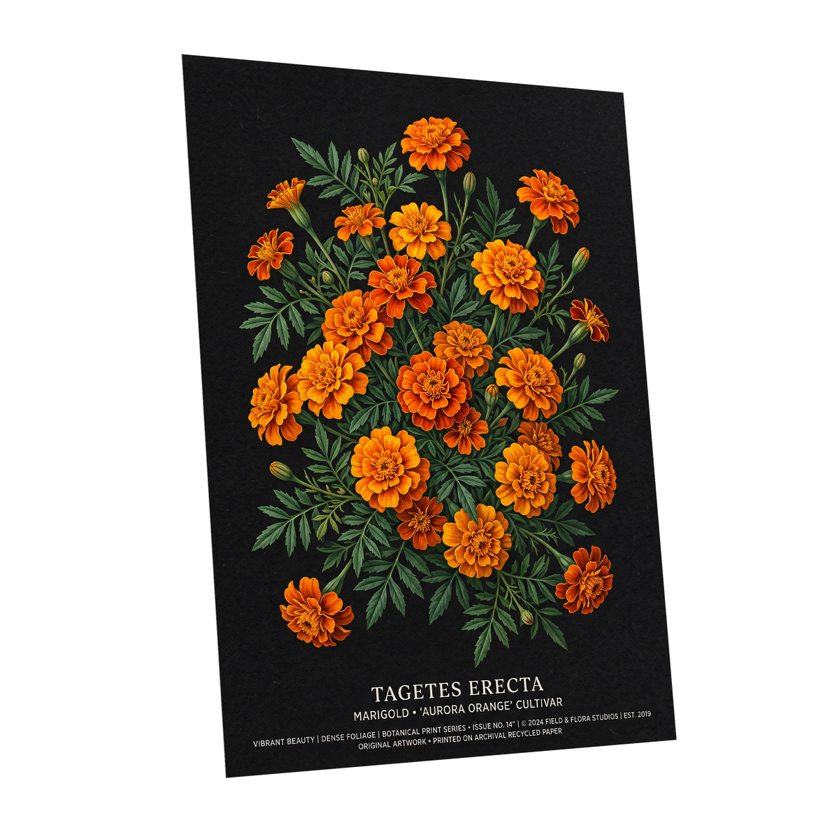 Marigolds After Dark, black, green, orange floral wall art shown as a unframed poster wall art print