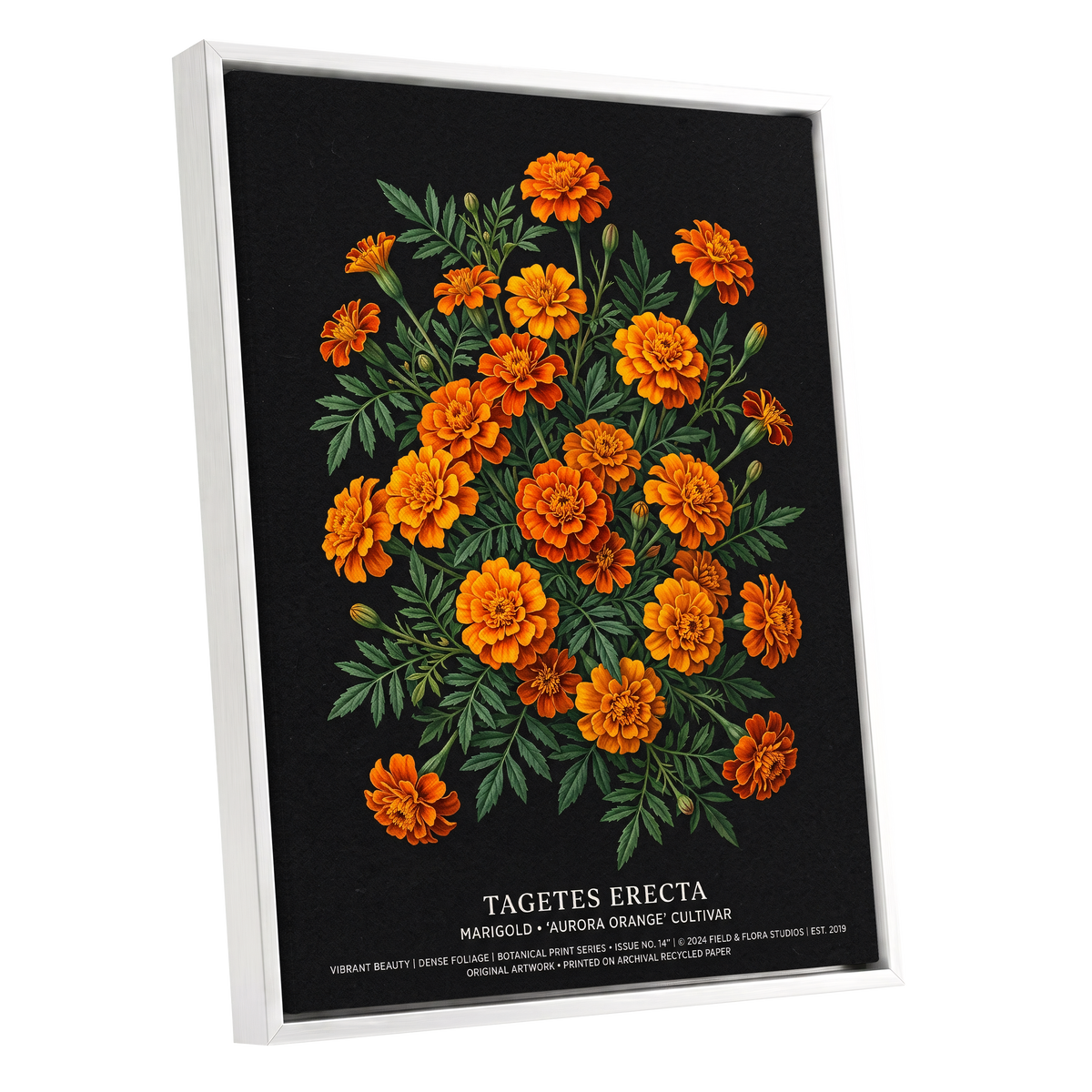 Marigolds After Dark, black, green, orange floral wall art shown as a white framed canvas wall art