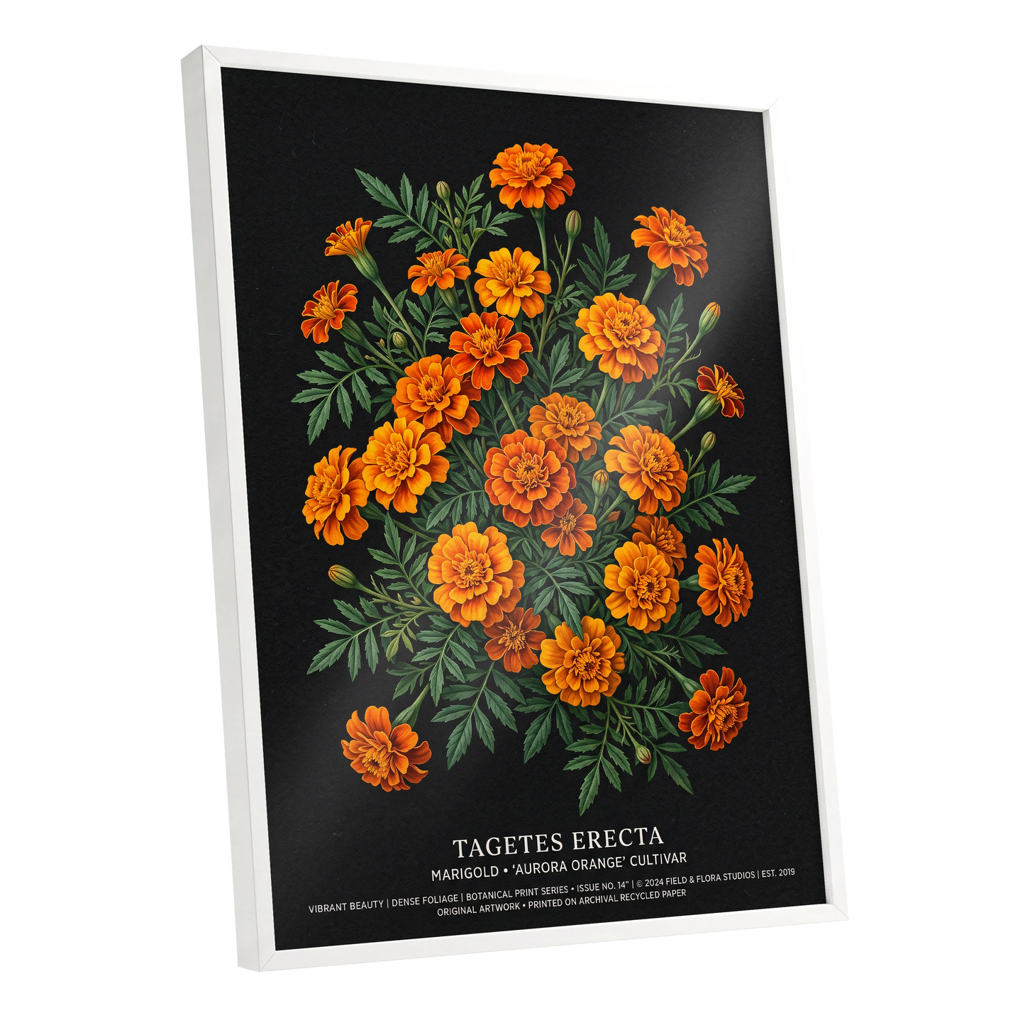 Marigolds After Dark, black, green, orange floral wall art shown as a white framed poster wall art print