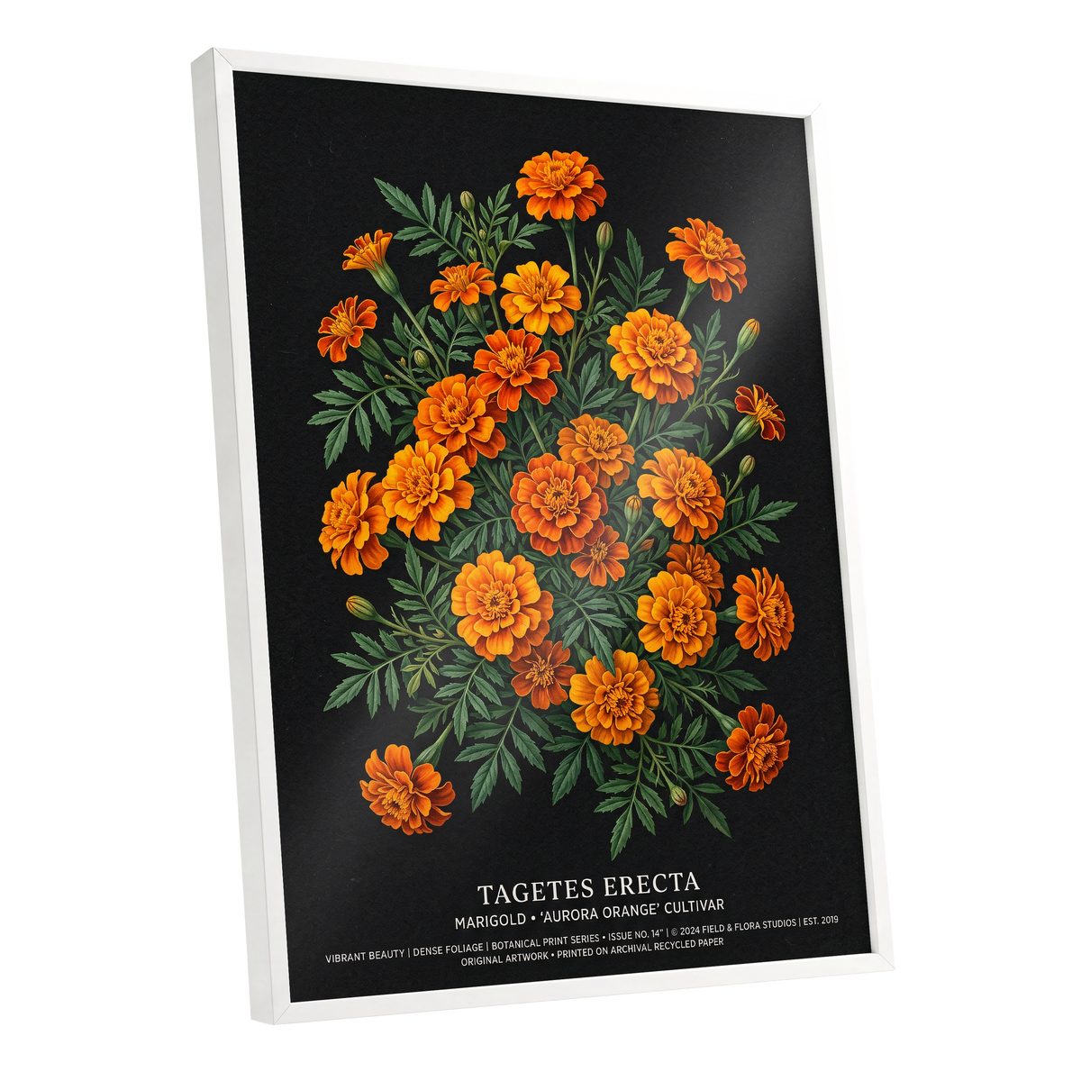 Marigolds After Dark, black, green, orange floral wall art shown as a white framed poster wall art print