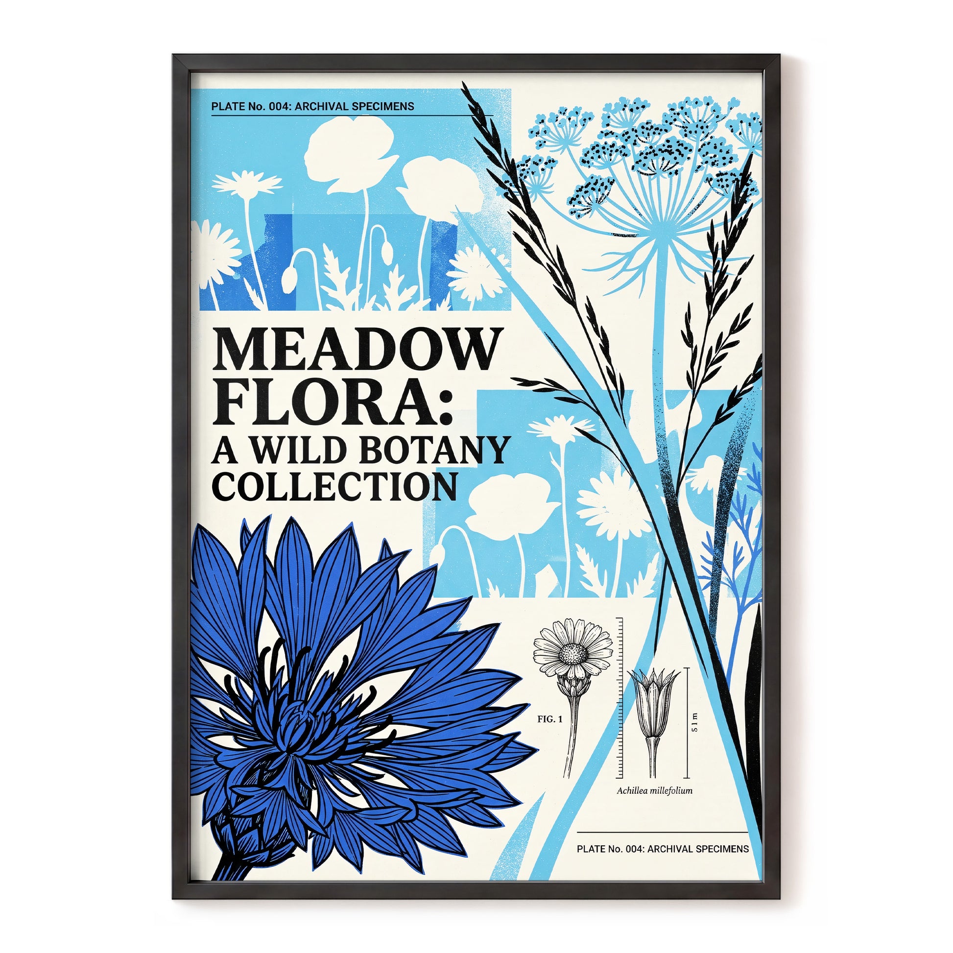 Meadow Archive, blue, black, beige floral wall art, front artwork view