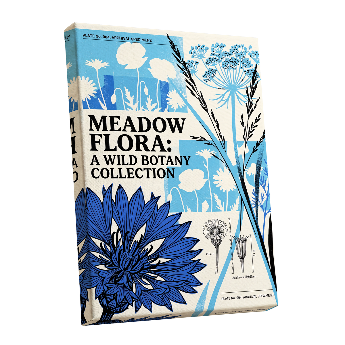 Meadow Archive, blue, black, beige floral wall art shown as a stretched canvas wall art