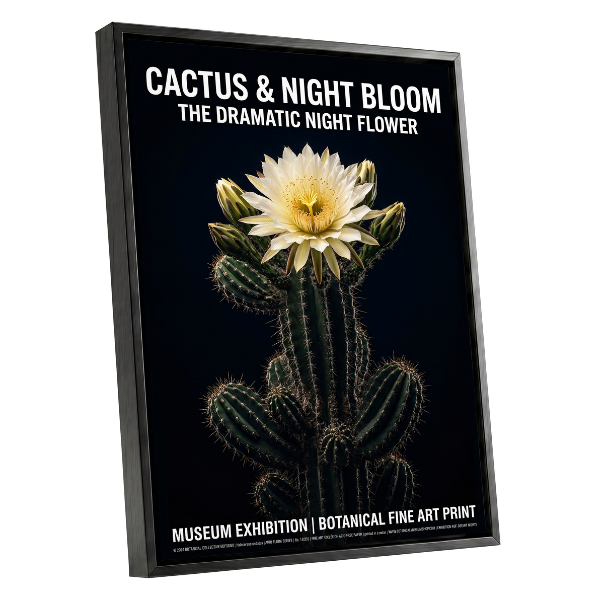 Midnight Cactus Bloom, black, green, white floral wall art shown as a black framed canvas wall art
