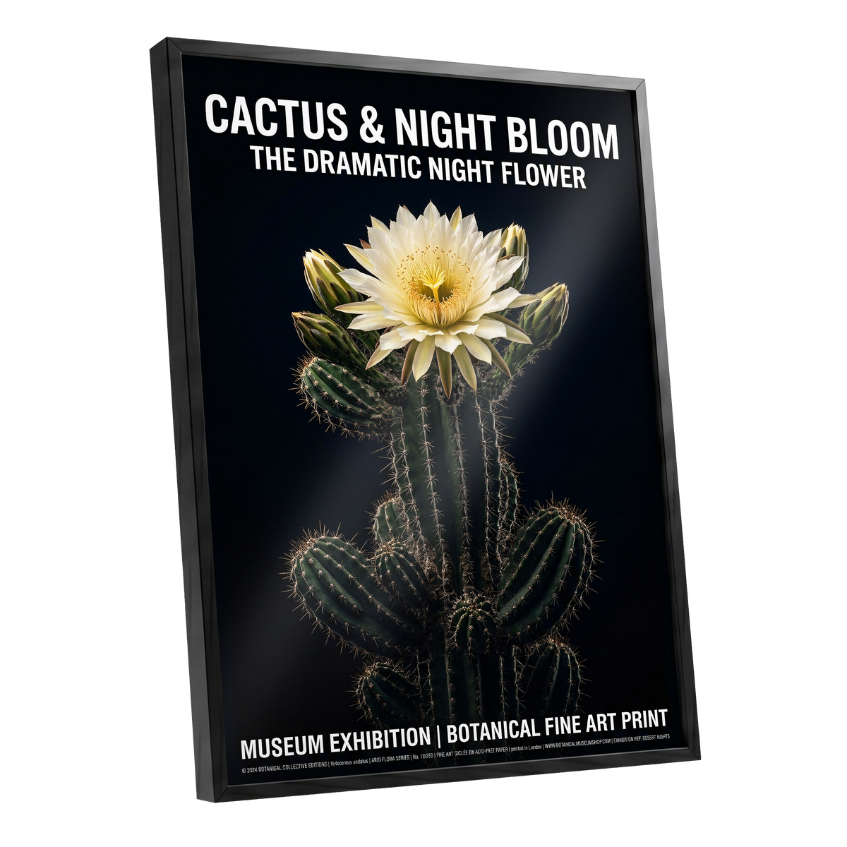 Midnight Cactus Bloom, black, green, white floral wall art shown as a black framed poster wall art print